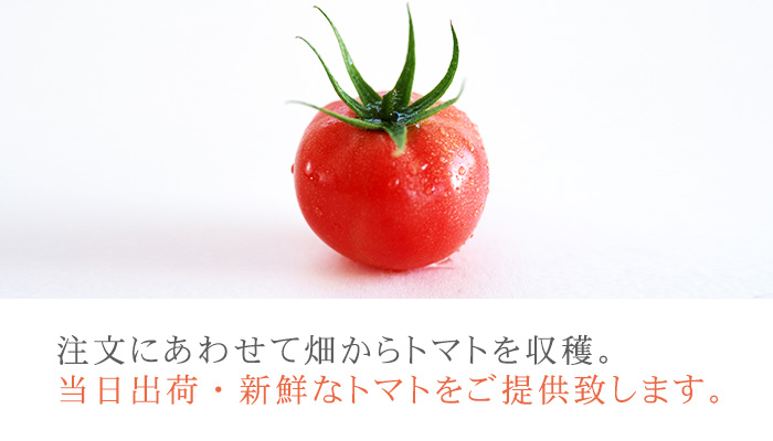 生食トマト