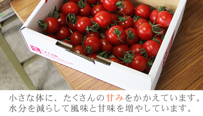 生食トマト